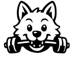 WULF GYM